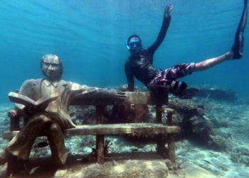 Pulau Miang Menjadi Destinasi Populer untuk Diving dan Snorkeling