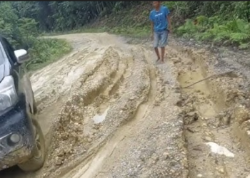 Jalan Rusak Parah Hingga Akses Terisolasi, Aldryansyah Soroti Ketimpangan Infrastruktur di Dapil 5